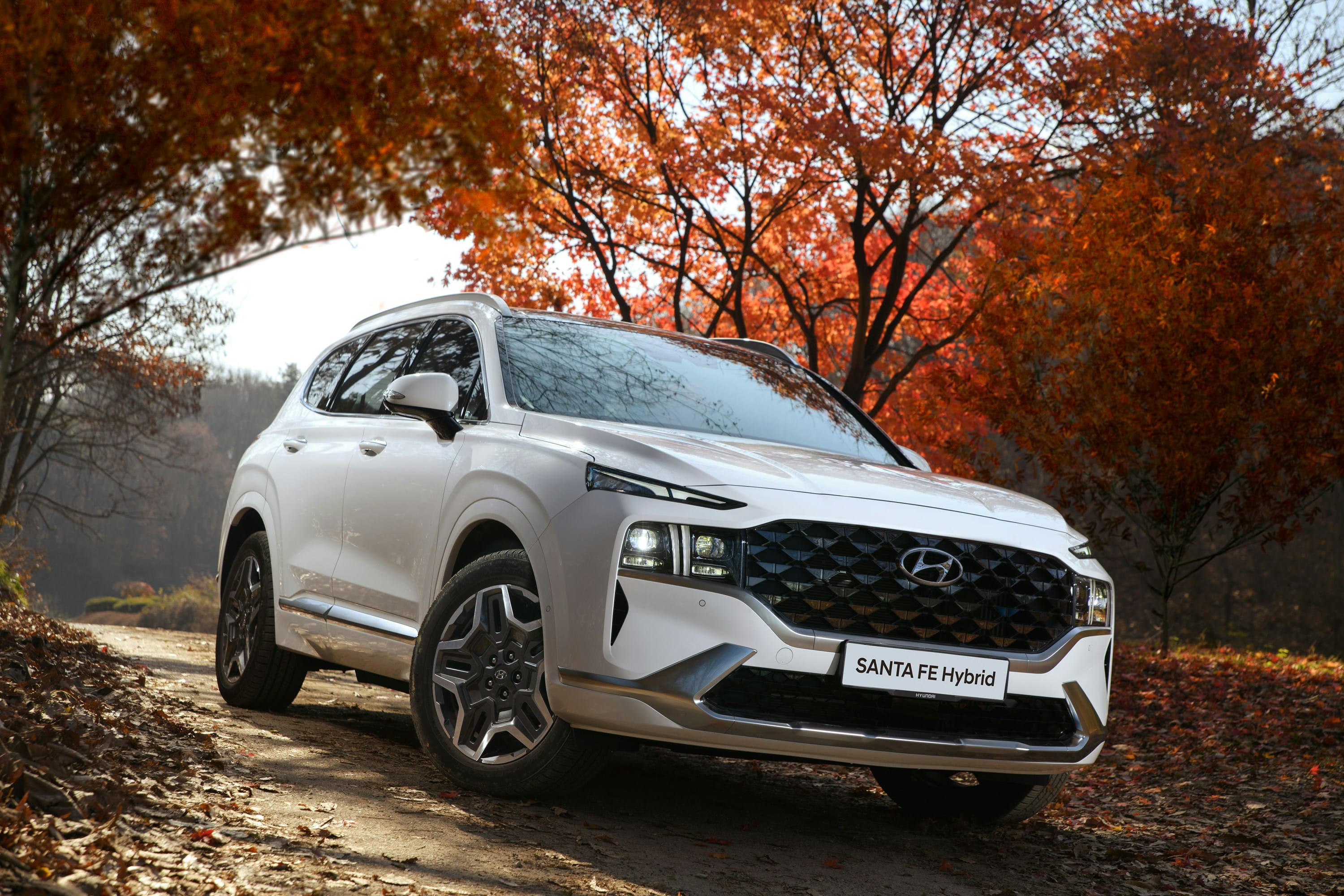 Boîte de vitesses de la Hyundai Santa Fe